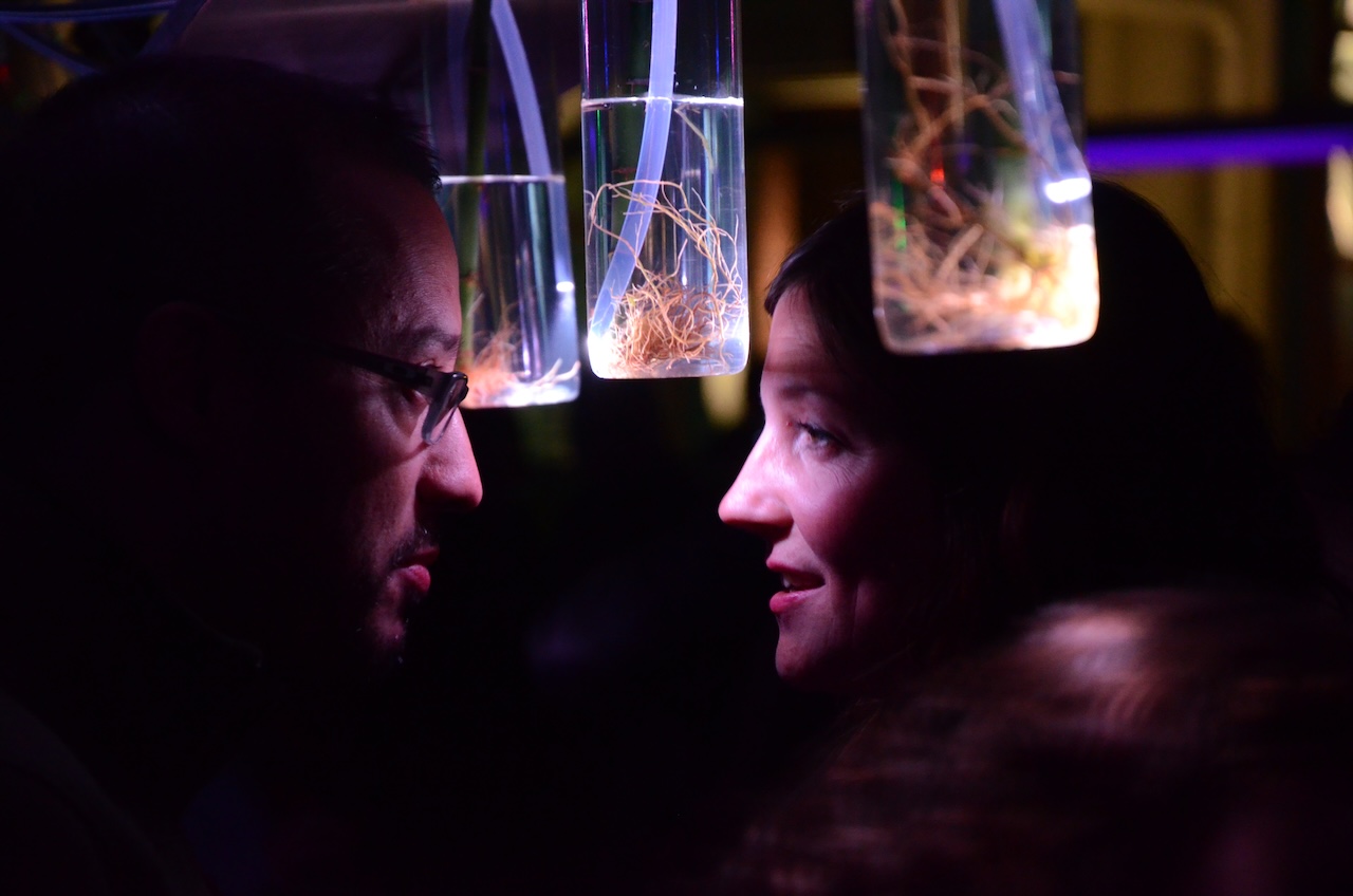 Photodotes V: Cyborg Garden, Boston, 2015